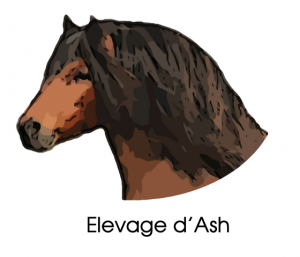 Elevage d’Ash