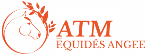 ATM Equi Angee